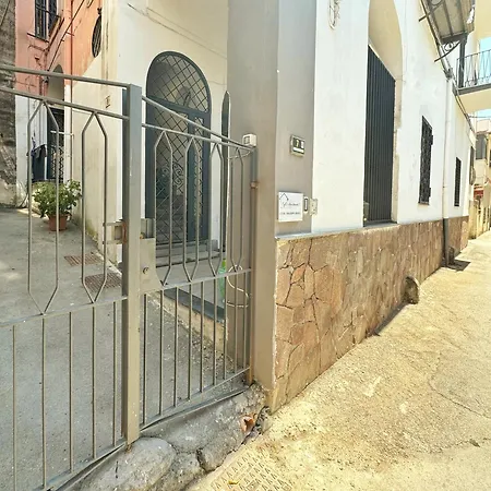 Cyo 1 * Boscotrecase